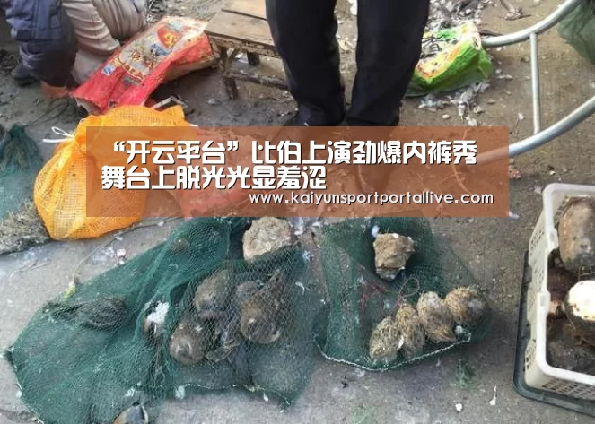开云体育入口
