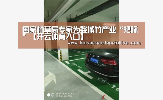 国家林草局专家为婺城竹产业“把脉”【开云体育入口】(图3) KAIYUN中国站