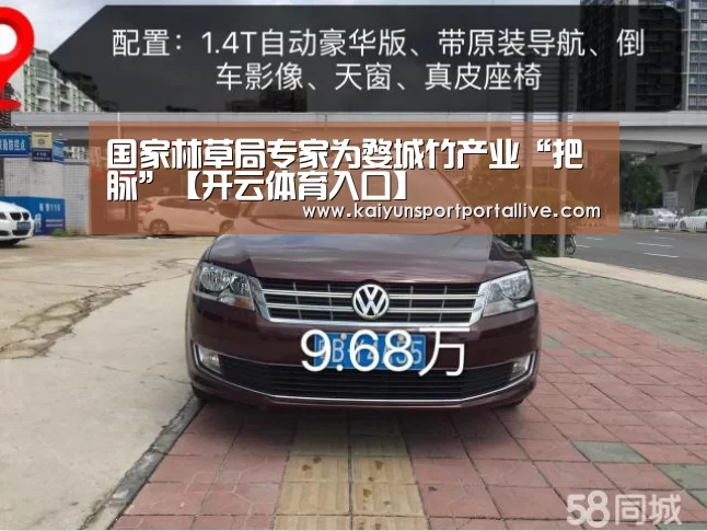 国家林草局专家为婺城竹产业“把脉”【开云体育入口】(图1) 开云体育入口