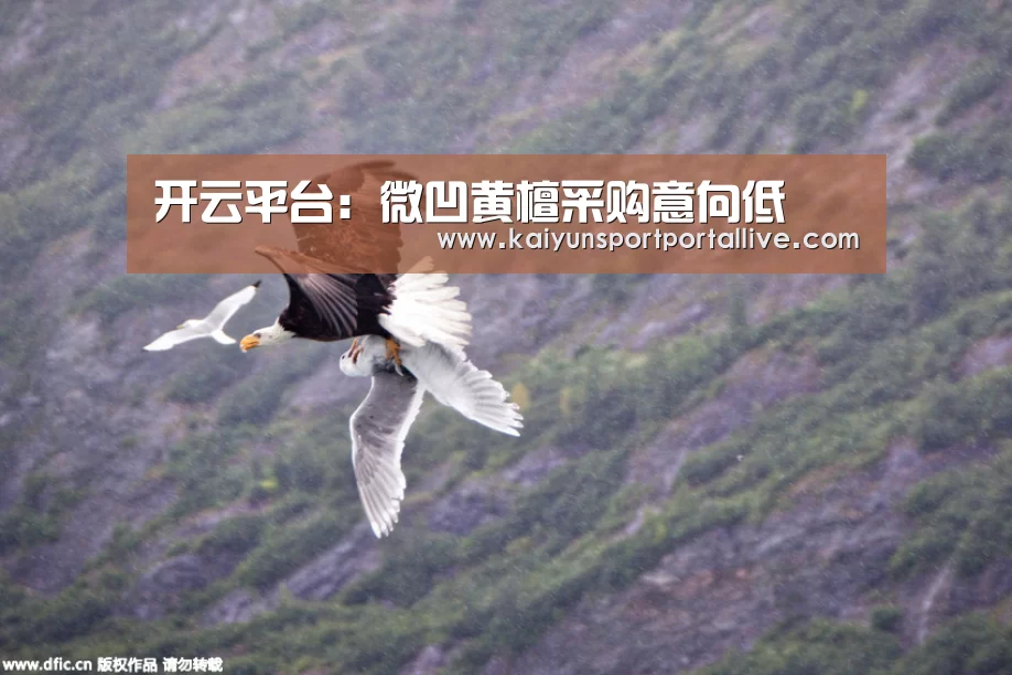 开云平台:微凹黄檀采购意向低(图3) 开云平台