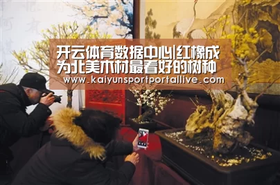 开云平台
