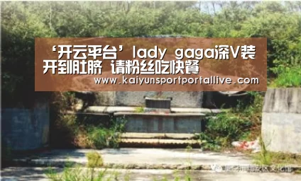 ‘开云平台’lady gaga深V装开到肚脐 请粉丝吃快餐(图2) 开云体育入口