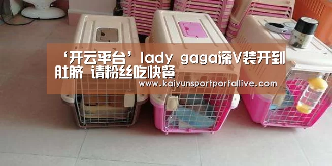 ‘开云平台’lady gaga深V装开到肚脐 请粉丝吃快餐(图1) 开云体育入口