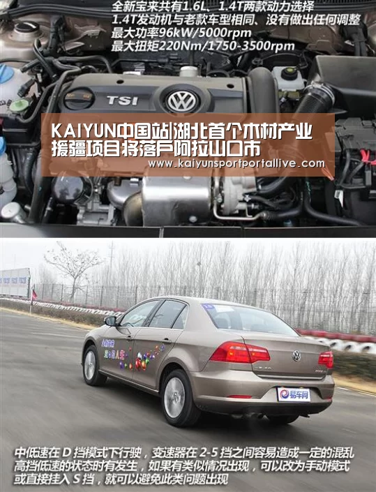 KAIYUN中国站|湖北首个木材产业援疆项目将落户阿拉山口市(图3) 开云体育入口