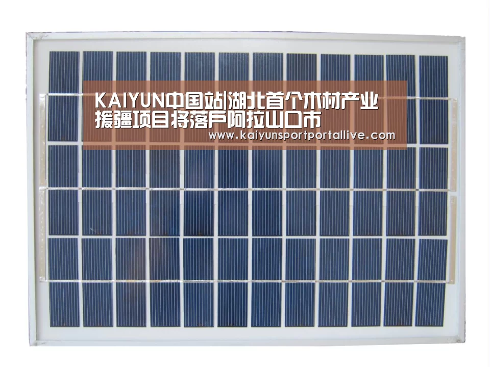 KAIYUN中国站|湖北首个木材产业援疆项目将落户阿拉山口市(图4) 开云平台