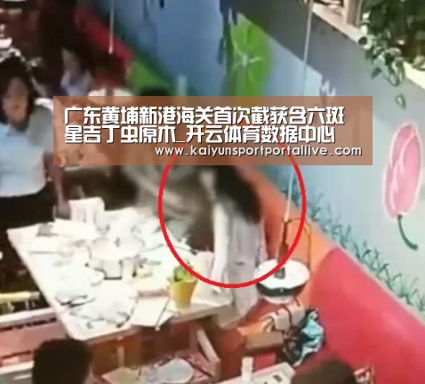 广东黄埔新港海关首次截获含六斑星吉丁虫原木_开云体育数据中心(图2) 开云体育数据中心