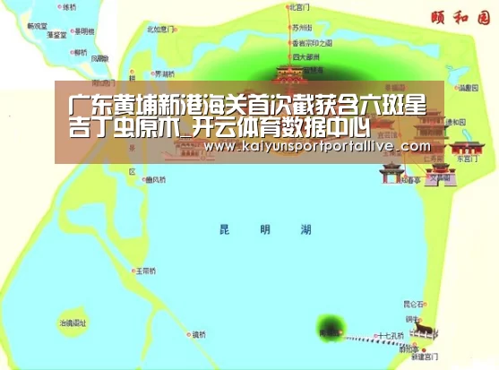 广东黄埔新港海关首次截获含六斑星吉丁虫原木_开云体育数据中心(图1) KAIYUN中国站